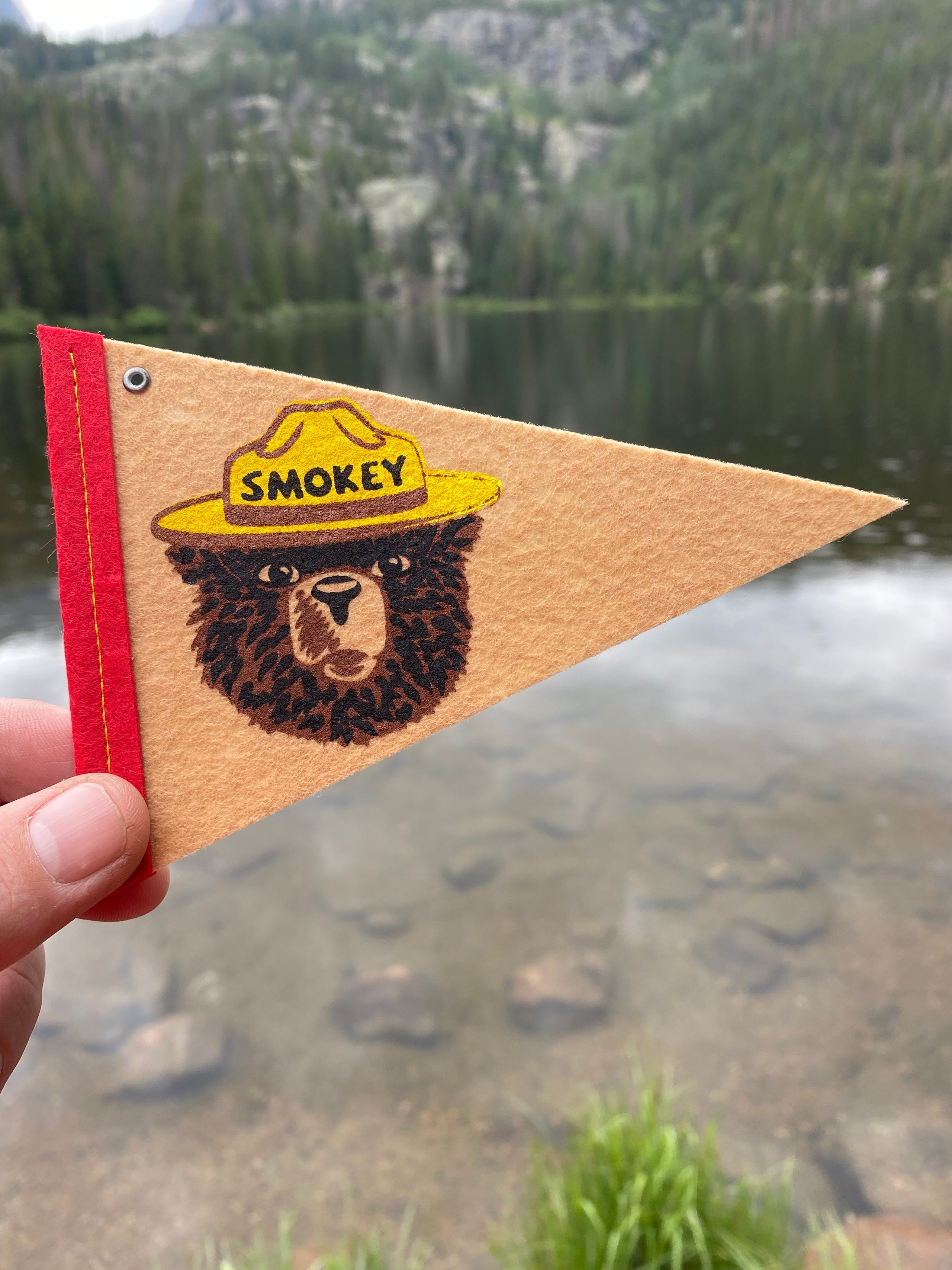 Hook and shop loop pennants