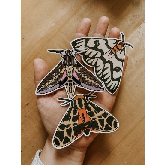 Set of Three Moth Vinyl Stickers by Caroline Clark